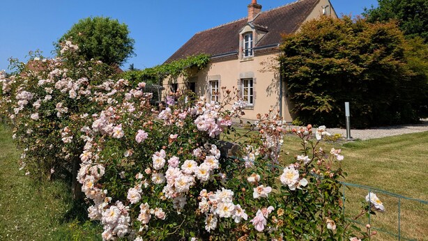 A house with a tiled roof, surrounded by lush greenery and flowering bushes.
