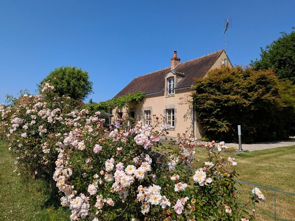 Property grounds - Charming Cottage with Sauna, Fireplace, and Countryside Views in Loiret (Vitry-aux-Loges)