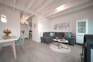 TV, fireplace, video library, stereo - Hyggehus - infrared sauna, terrace, fireplace, close to the beach and the North (Büsum)