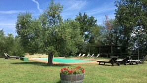 A pool area with lounge chairs, a wooden planter with flowers, and a covered seating area. - BLU2 - cozy apartment in the Chianti area with pool (Florence)