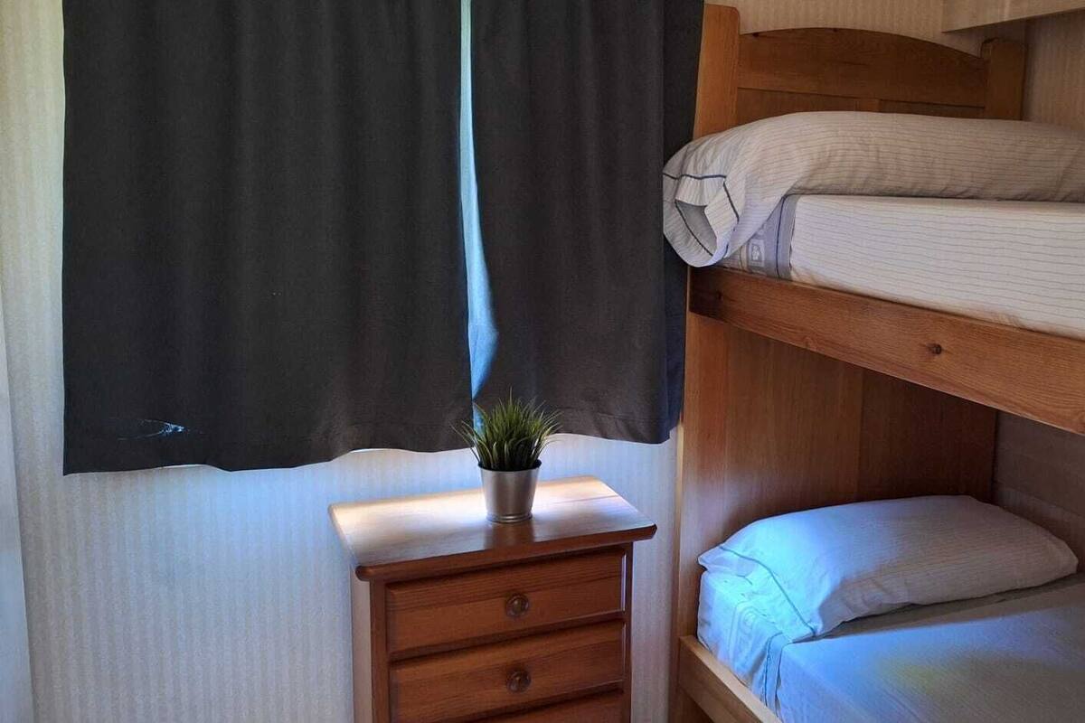 A bunk bed room with a small wooden nightstand and a potted plant.