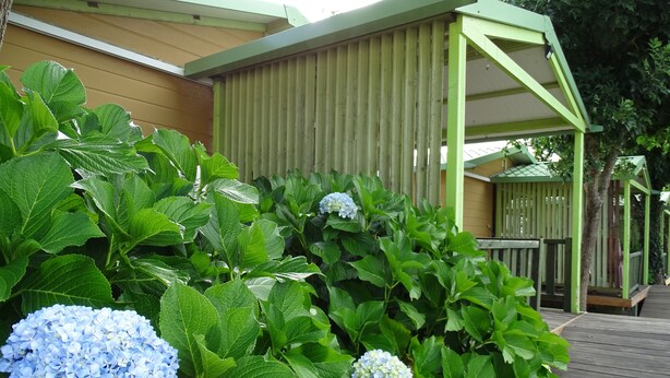 A wooden deck with a green pergola, surrounded by lush green foliage and blue hydrangea flowers. - Camping Rianxo (Rianxo)