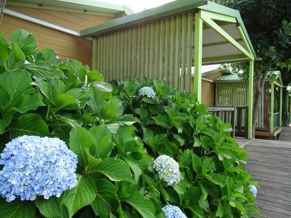 Vista frontal de la propiedad