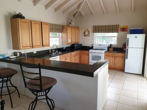 Villa | Private kitchen | Fridge, microwave, oven, stovetop