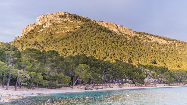 Una playa con agua turquesa cristalina, una colina rocosa con árboles verdes y frondosos, y una orilla arenosa con algunas construcciones.