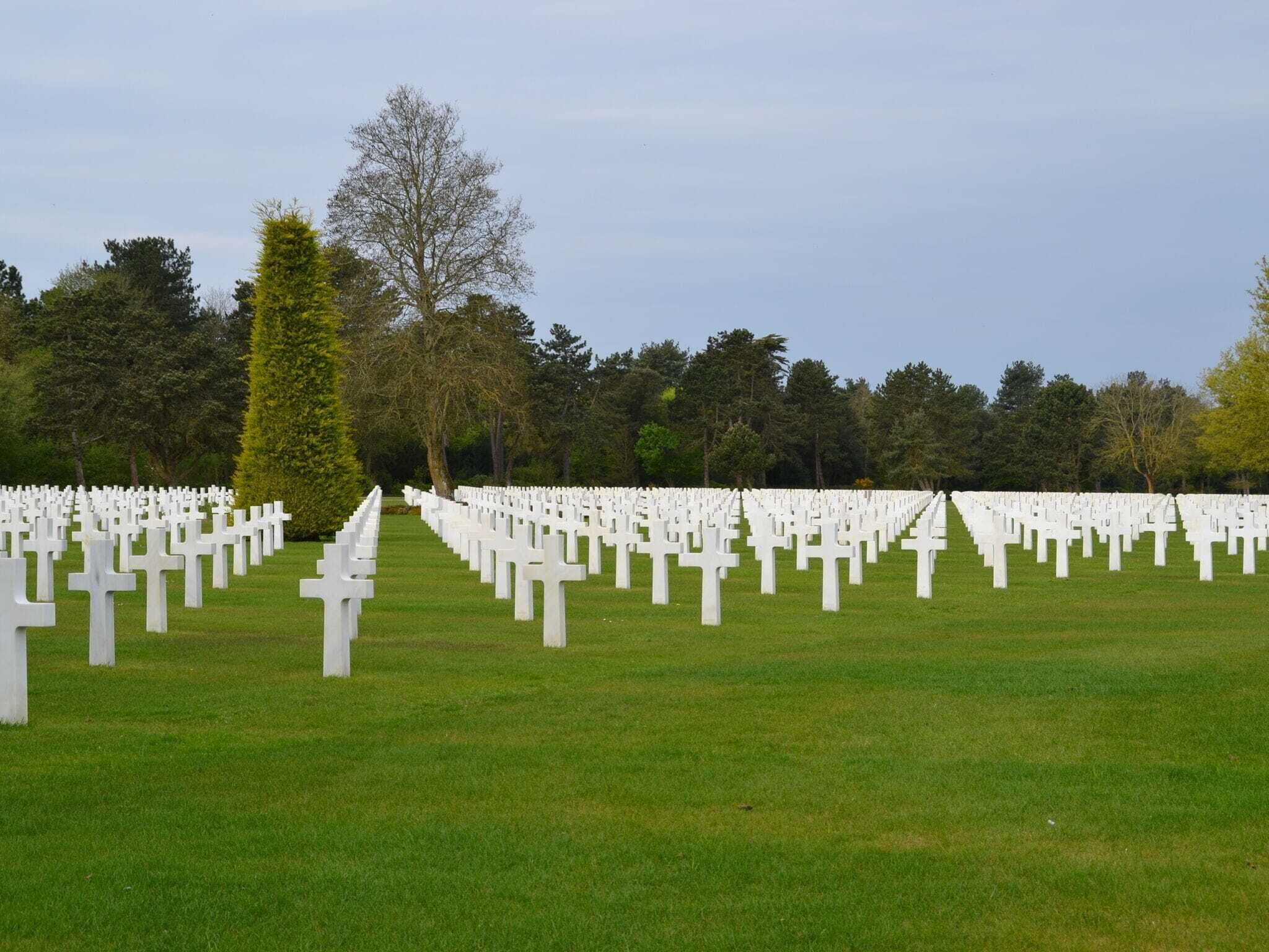Un cimetière où de nombreuses croix blanches sont disposées en rangées.