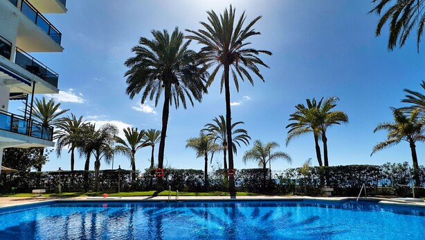Una piscina envoltada de palmeres i un edifici modern amb balcons.