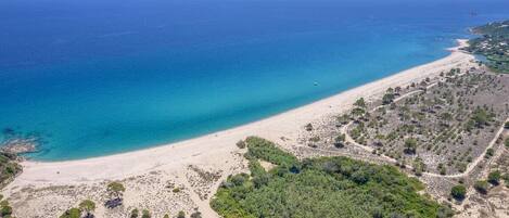 بالقرب من الشاطئ