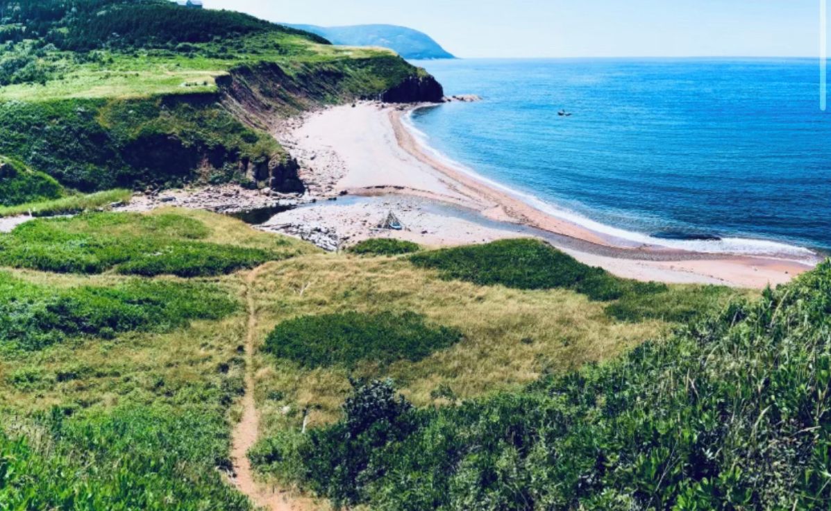 Un paysage côtier avec un sentier de terre menant à une plage.