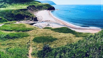 A coastal landscape with a dirt path leading to a beach.