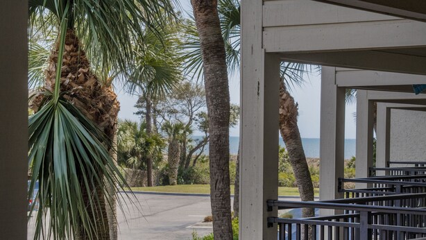 A covered outdoor area with palm trees and a view of the ocean.
