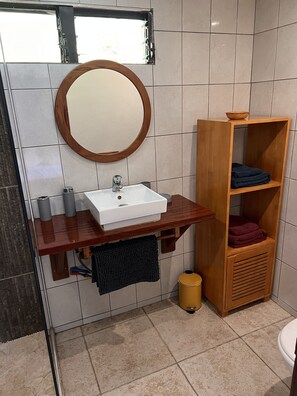 Shower, hair dryer, towels