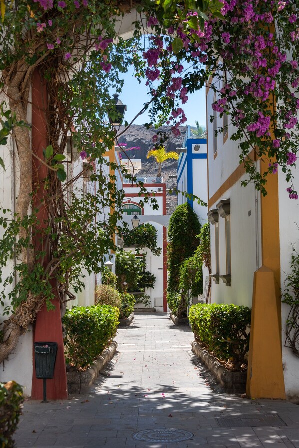 Áreas de la propiedad