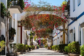 Stroll through historic streets lined with charming gardens and traditional buildings.