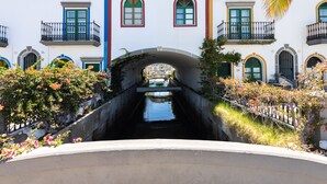 Ein Kanal mit Gebäuden an beiden Seiten, einer Brücke und einer Palme.