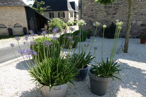 Property grounds - Domaine Leyvinie, gite Mourvedre, 10 minutes from the Dordogne River (Perpezac-le-Blanc)
