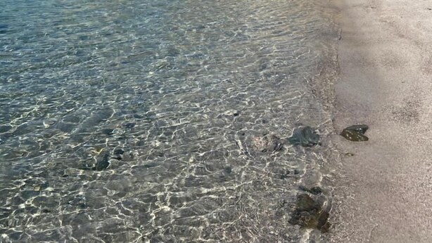 Een helder strand met grote rotsen en rustig water.
