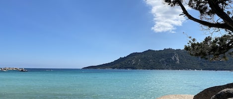 Vue sur la plage/l’océan