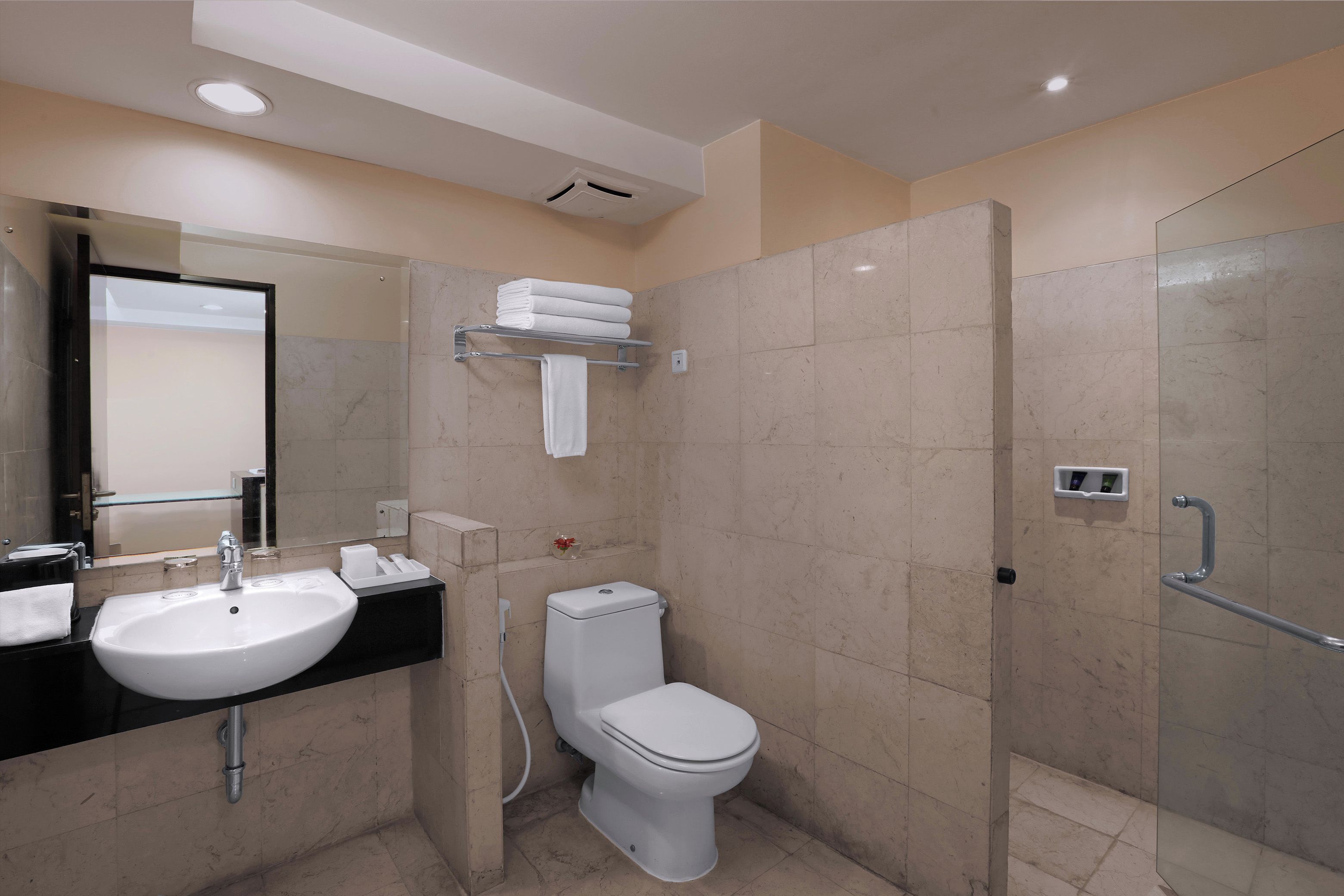 Une salle de bain moderne équipée d’un lavabo, de toilettes et d’une douche séparée par des parois en verre.