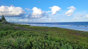 Beach - The perfect beachside getaway (Diamond Beach)