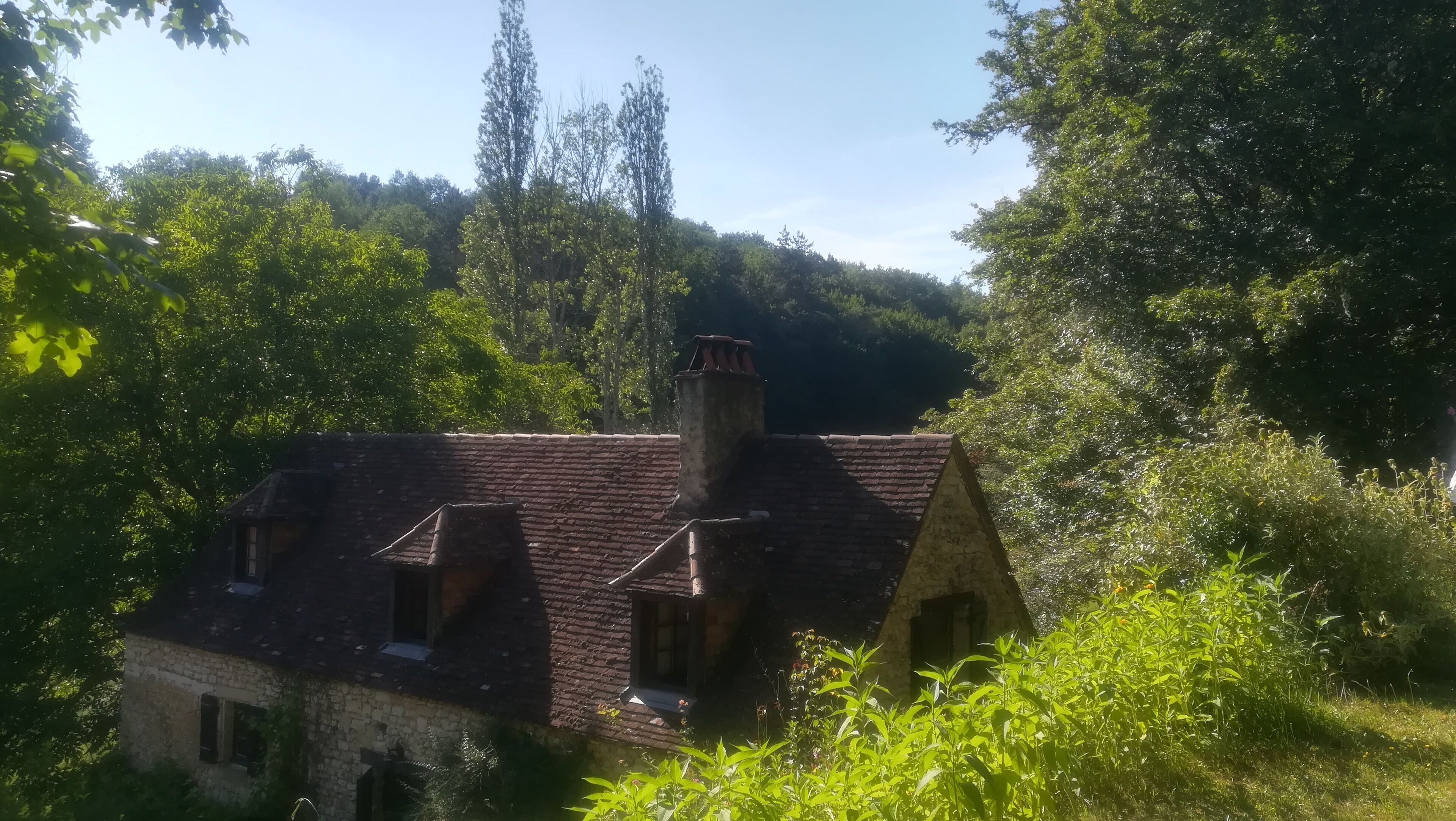 A rustic house with a brick chimney, surrounded by lush greenery and trees.