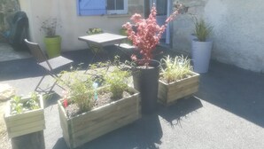 Un patio con mesa y sillas, plantas en macetas y una puerta azul.