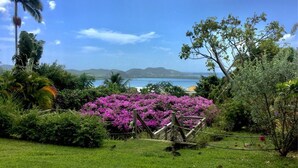 A lush garden with a variety of plants and a view of the sea.