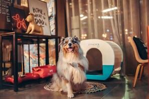 Property amenity - Moxy Bordeaux Hotel (Bordeaux)