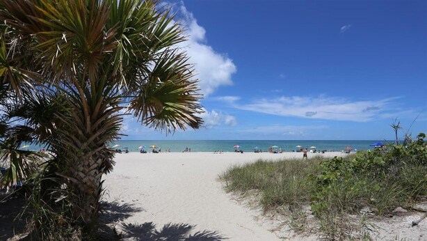 Une plage avec un chemin dégagé menant à l’eau, entourée de verdure et où quelques personnes profitent du soleil.