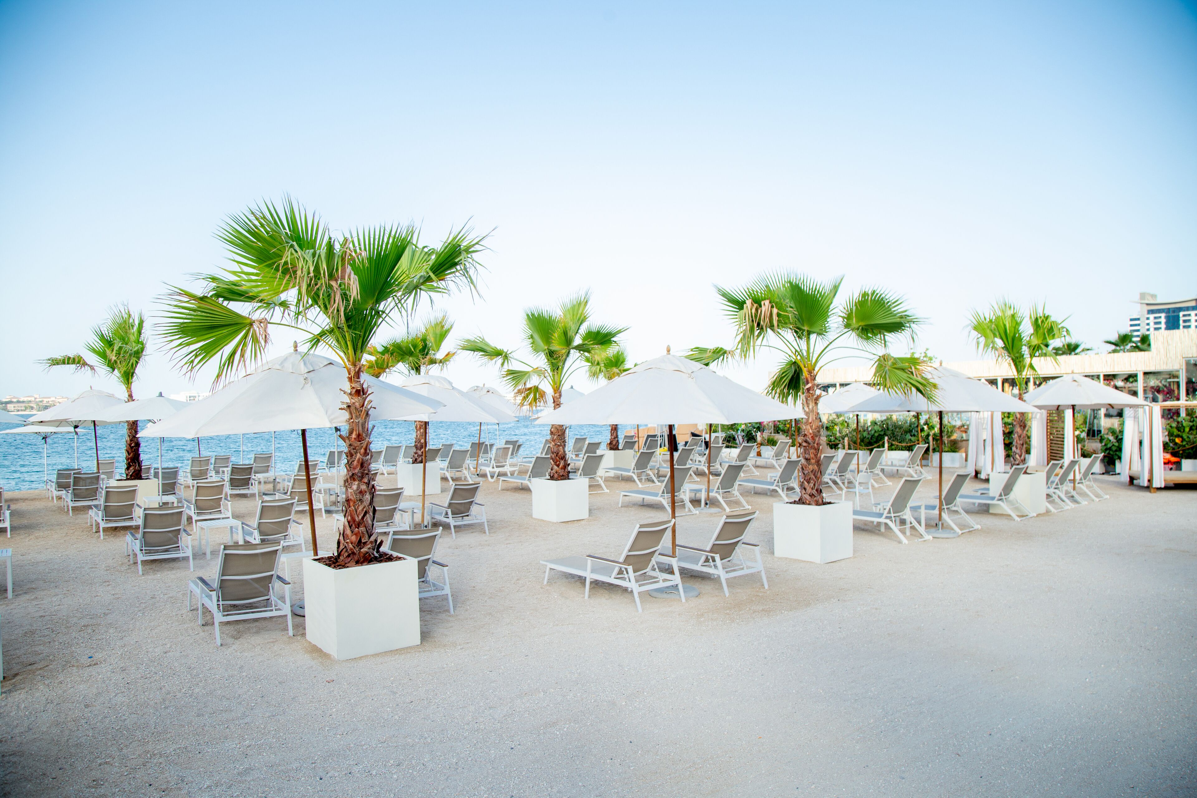 A beachside lounge area with white lounge chairs and palm trees, overlooking the sea.