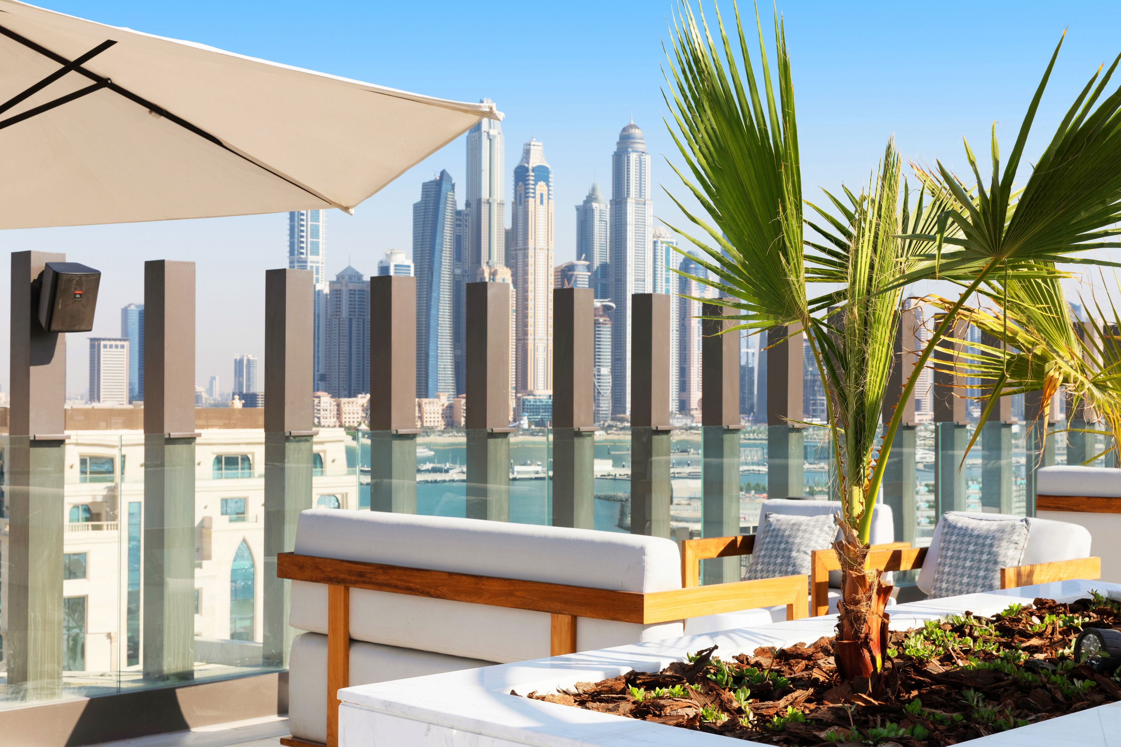 A balcony with a city view, white cushioned seating, and a palm plant.