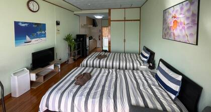 N202 Free parking Pineapple Park 2 minutes on / Nago Okinawa