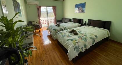 N203 Free parking Pineapple Park 2 minutes on / Nago Okinawa