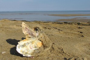 Tæt på stranden