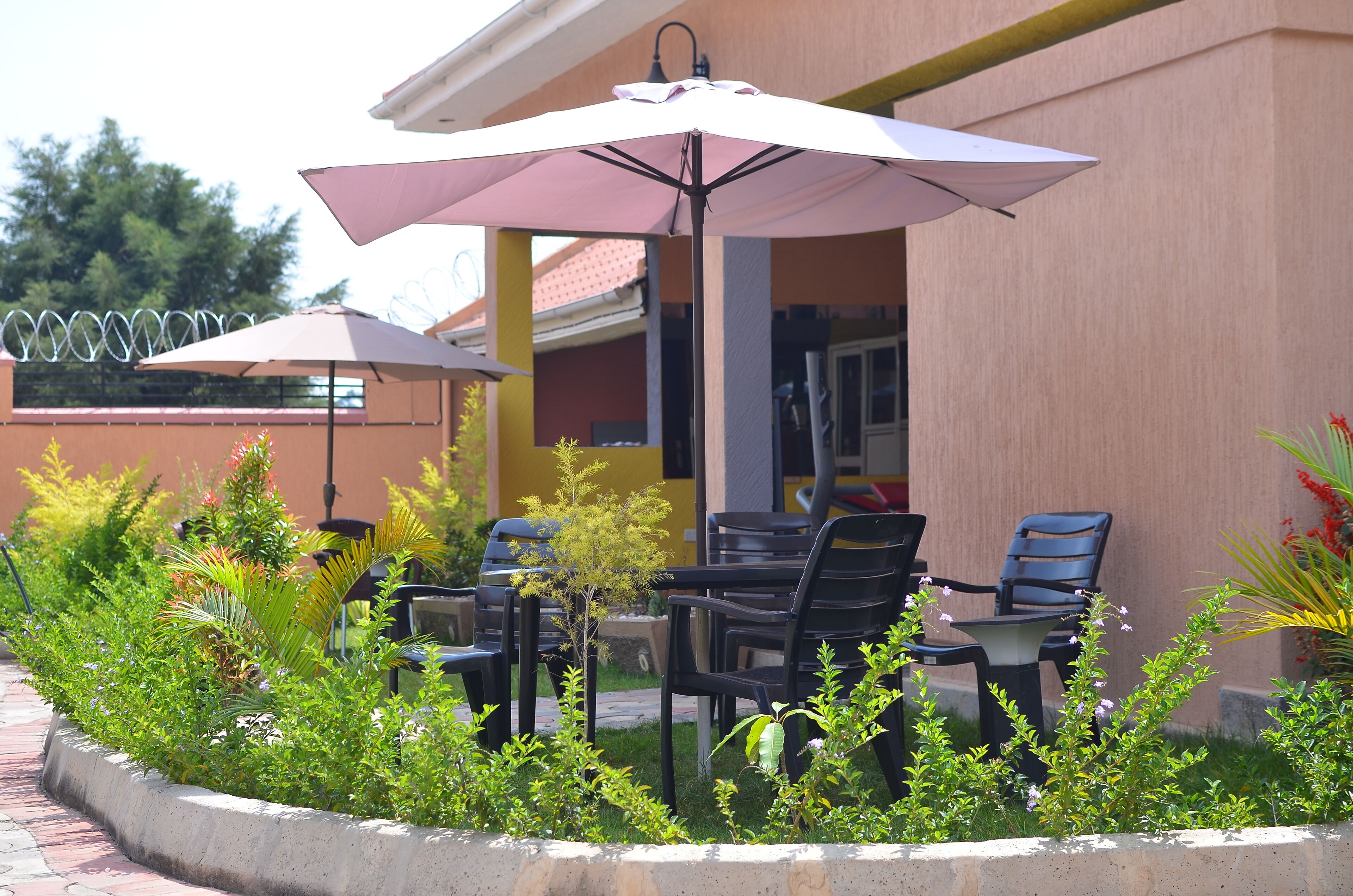 An outdoor seating area with tables and chairs, surrounded by greenery and a concrete planter.