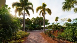 Un sendero pavimentado bordeado de palmeras y diversas plantas tropicales, que conduce a un edificio.