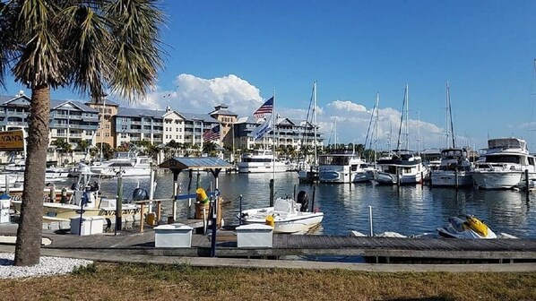 A marina with multiple boats docked, a palm tree, and a building with American flags. - Beach Happy Getaway! (Ruskin)