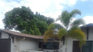 A residential house with a paved driveway, a stone wall, and a large tree in the background.