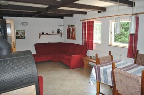 Télévision, cheminée, lecteur de DVD