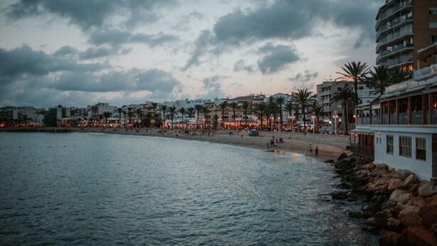 Un paysage urbain côtier avec une plage, des bâtiments et des palmiers.