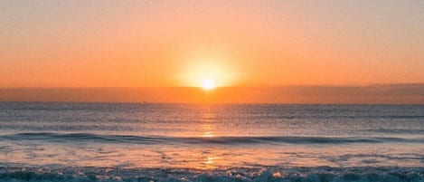 بالقرب من الشاطئ