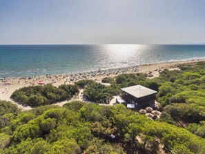 Una playa con un edificio rodeado de follaje.
