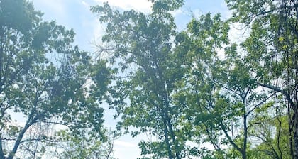 The Loft on the River with Private Gravel bar!!