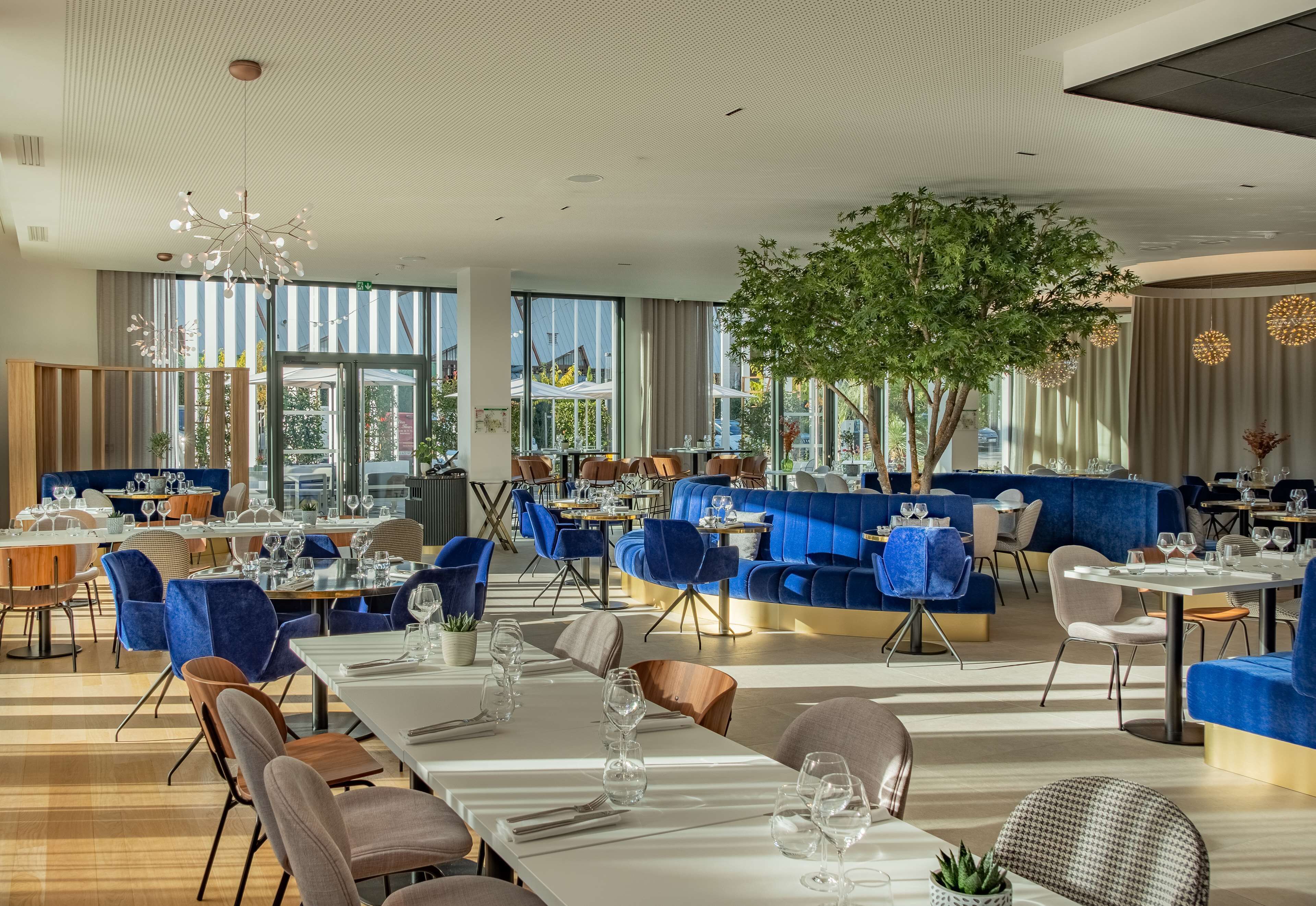 Un restaurante moderno con asientos tapizados en azul, ventanas amplias y un árbol central.