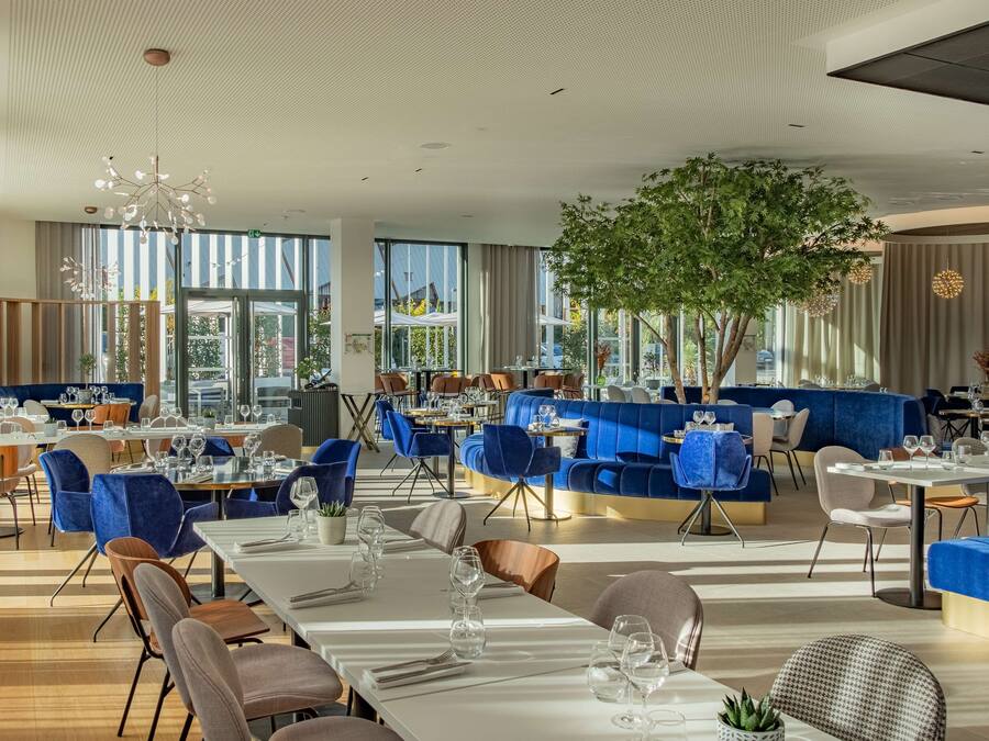 Un restaurante moderno con asientos tapizados en azul, ventanas amplias y un árbol central.