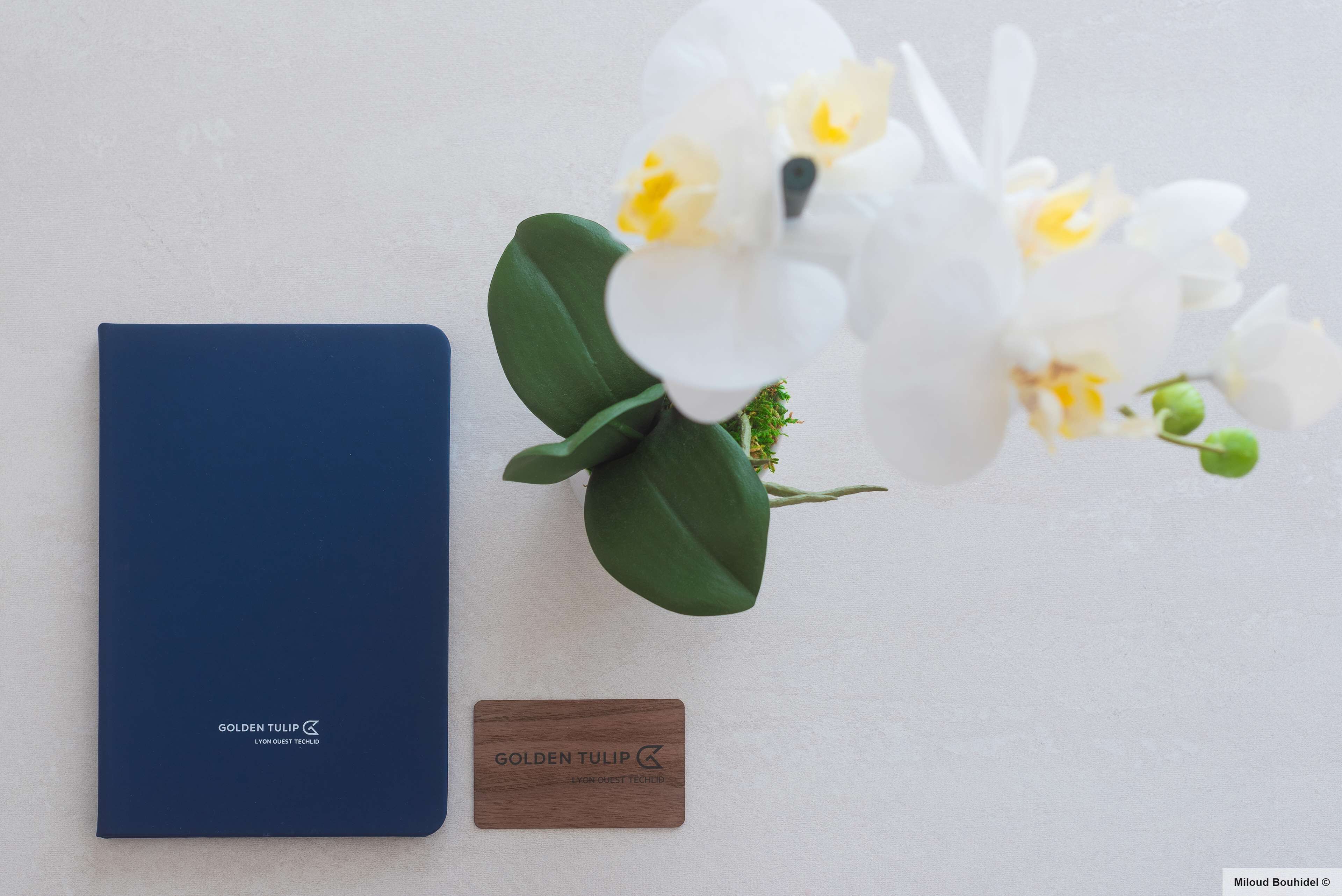 Un carnet bleu foncé orné du logo « GOLDEN TULIP », une plaque en bois portant le même logo, et une orchidée blanche aux feuilles vertes.