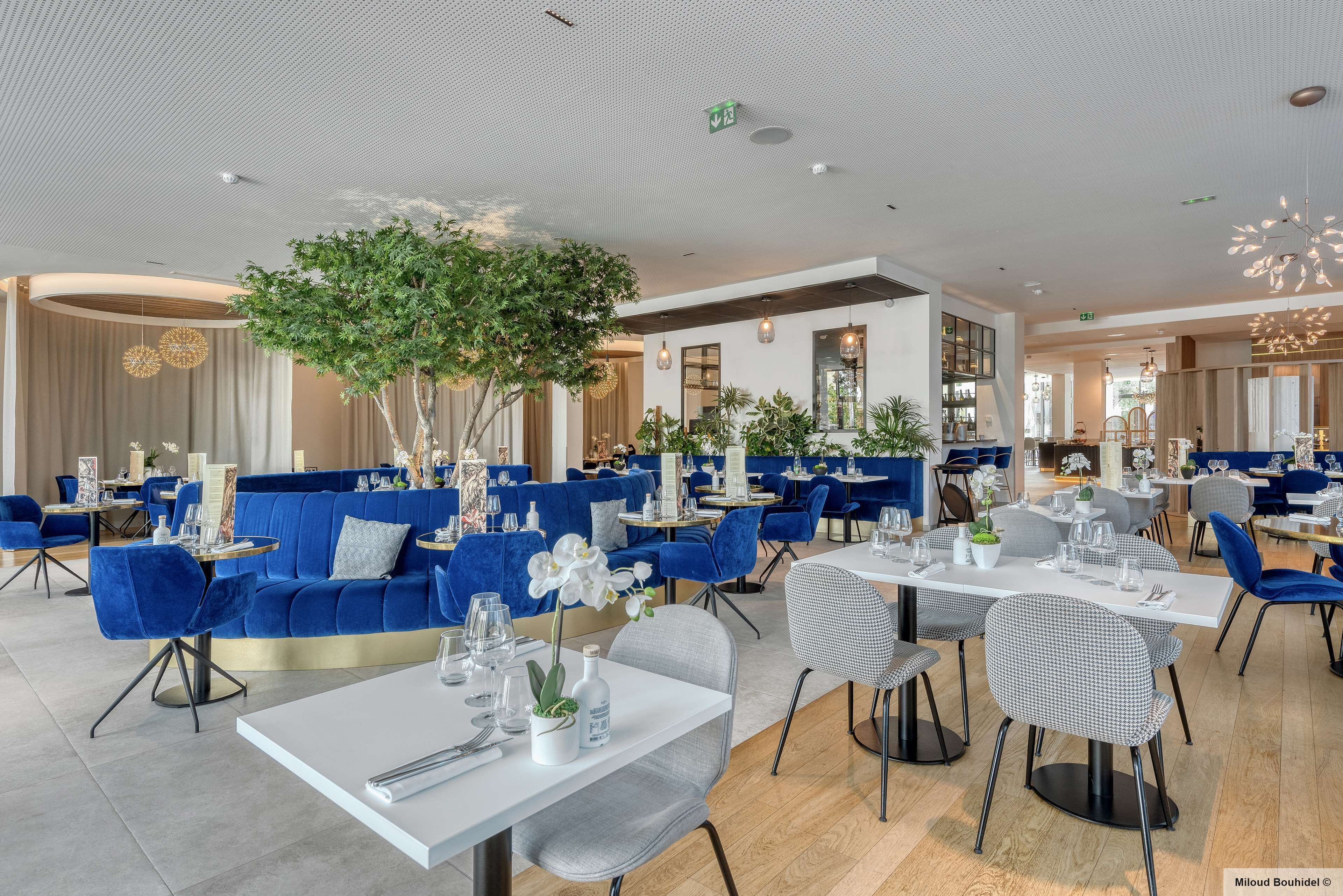 A modern restaurant with blue seating, white tables, and a central tree.