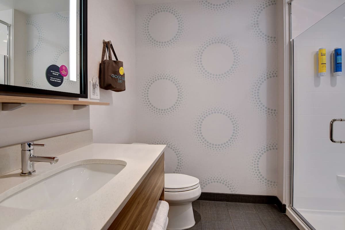 hair dryer, towels, soap, shampoo