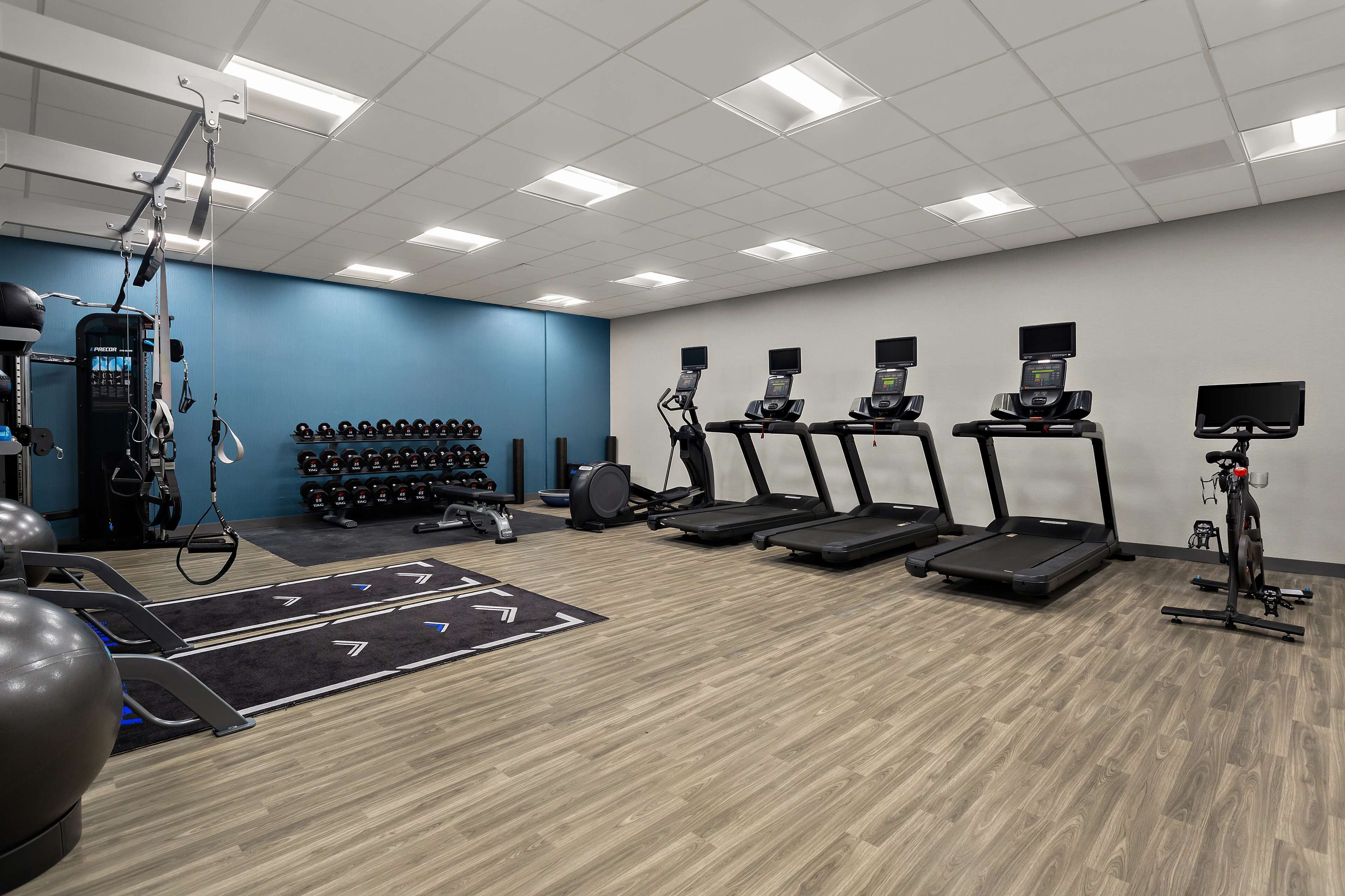 A gym with treadmills, elliptical machines, and free weights.
