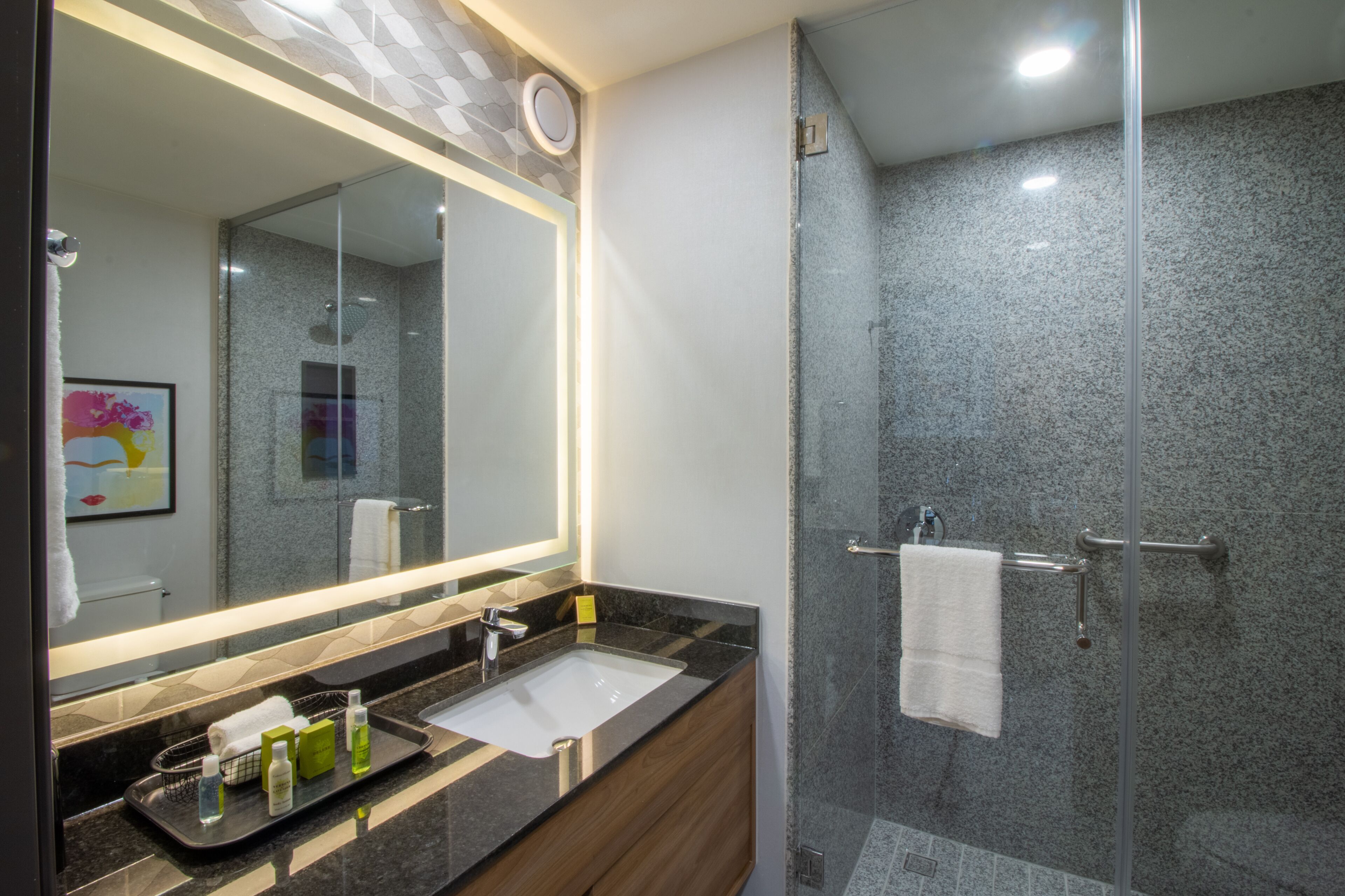 shower, rainfall showerhead, designer toiletries, hair dryer